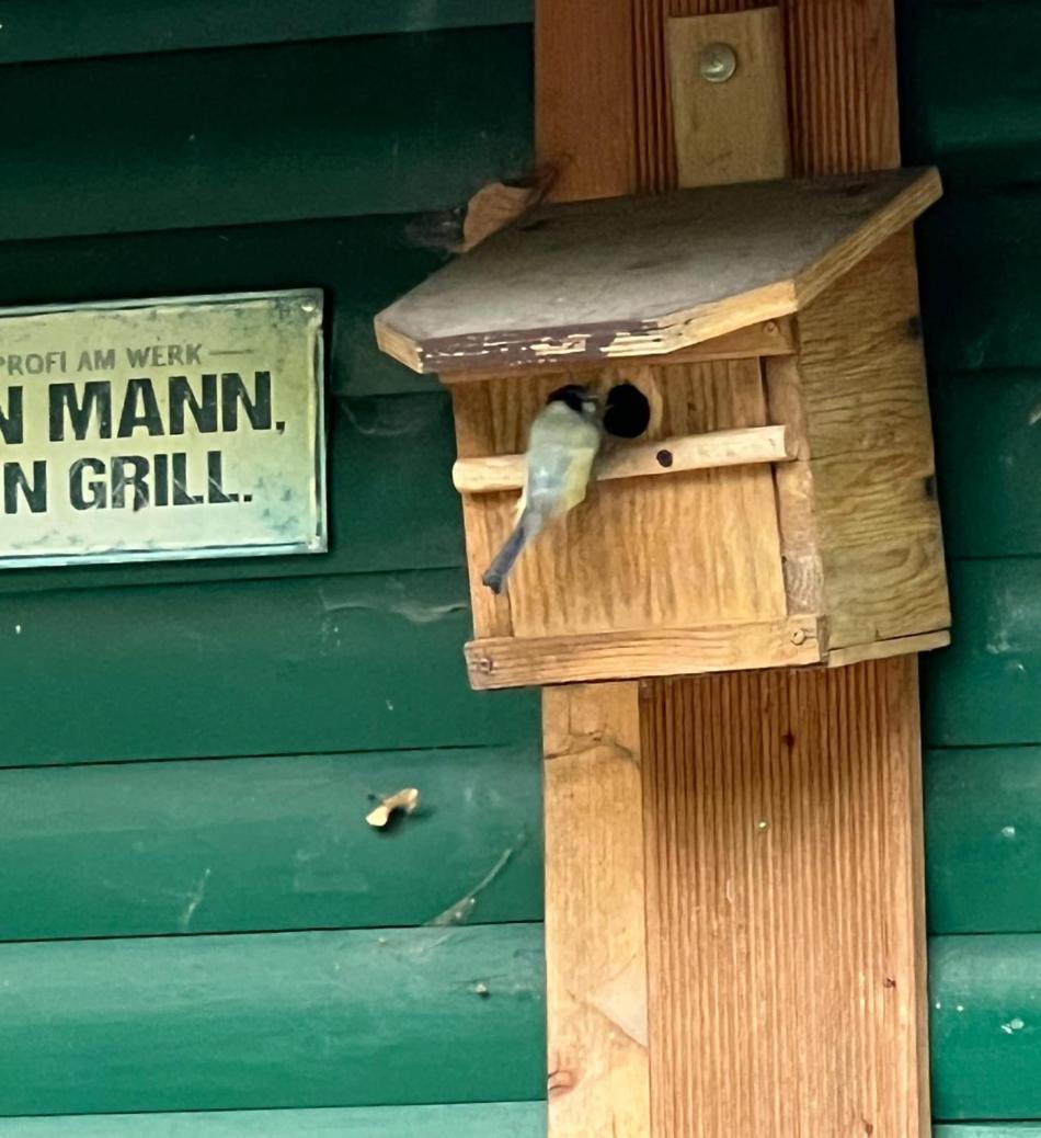 Hotel Zirkuswagen Im Gruenen Quickborn  Zewnętrze zdjęcie